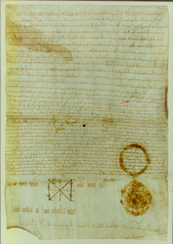 Documento imperiale del 1037
