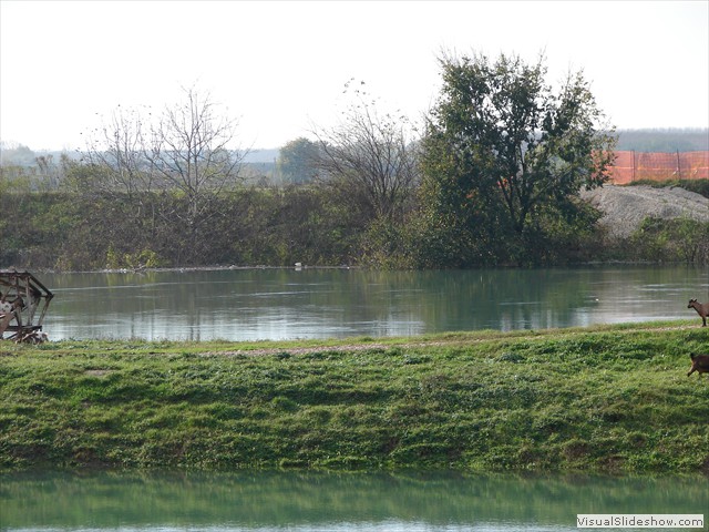 DSC01199