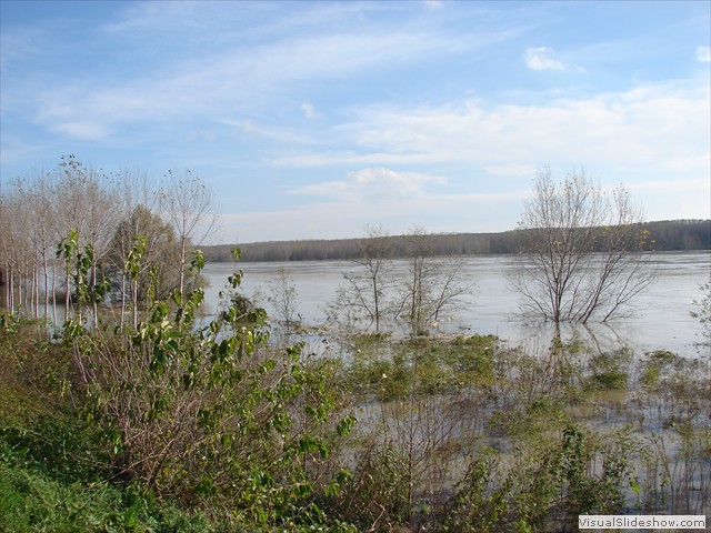 DSC01219