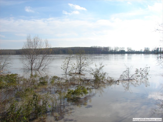 DSC01220