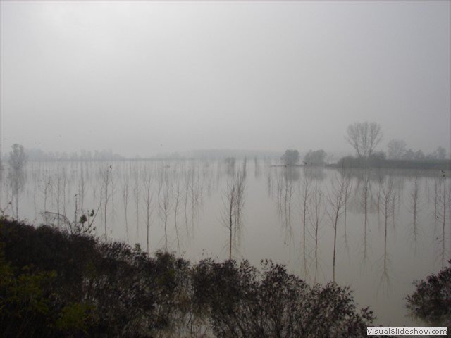 DSC01247