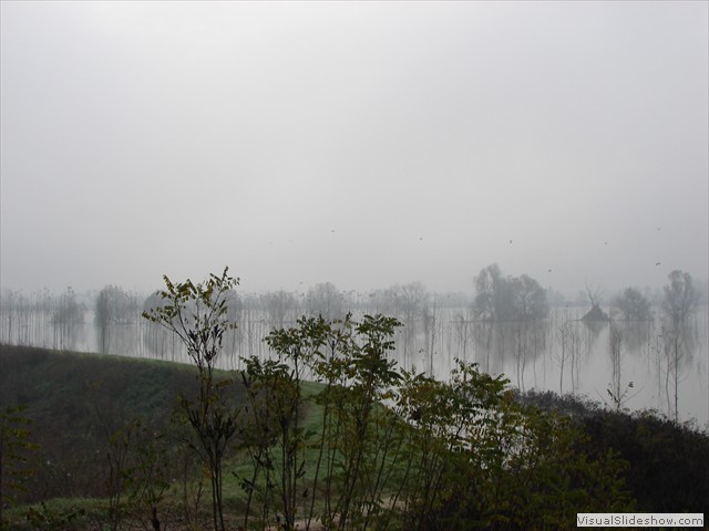 DSC01248