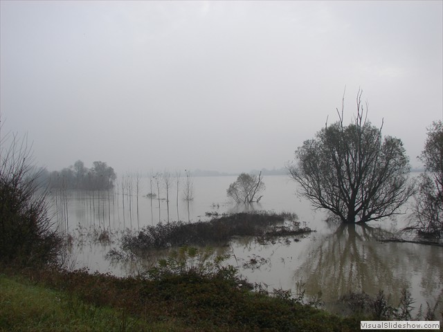 DSC01250