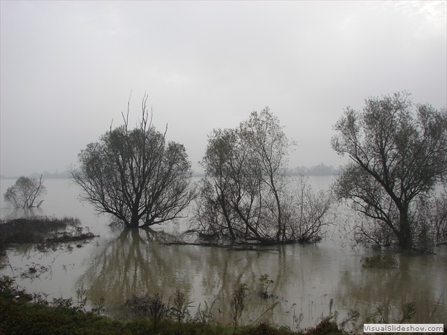 DSC01251
