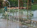 DSC01196