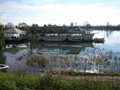 DSC01204