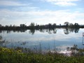 DSC01208