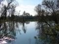 DSC01211