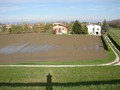 DSC01213