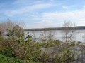 DSC01219