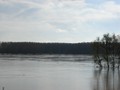 DSC01224