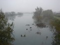 DSC01234