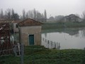 DSC01239