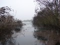 DSC01243