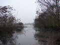 DSC01244