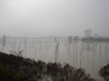 DSC01247
