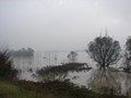 DSC01250