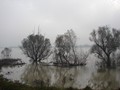 DSC01251